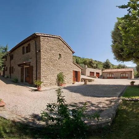 Leccio Cortona